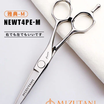 Japan Imported MIZUTANI Hair Scissors Professional A Set Of Traceless Teeth Scissors Thin Cutting Hair Stylist