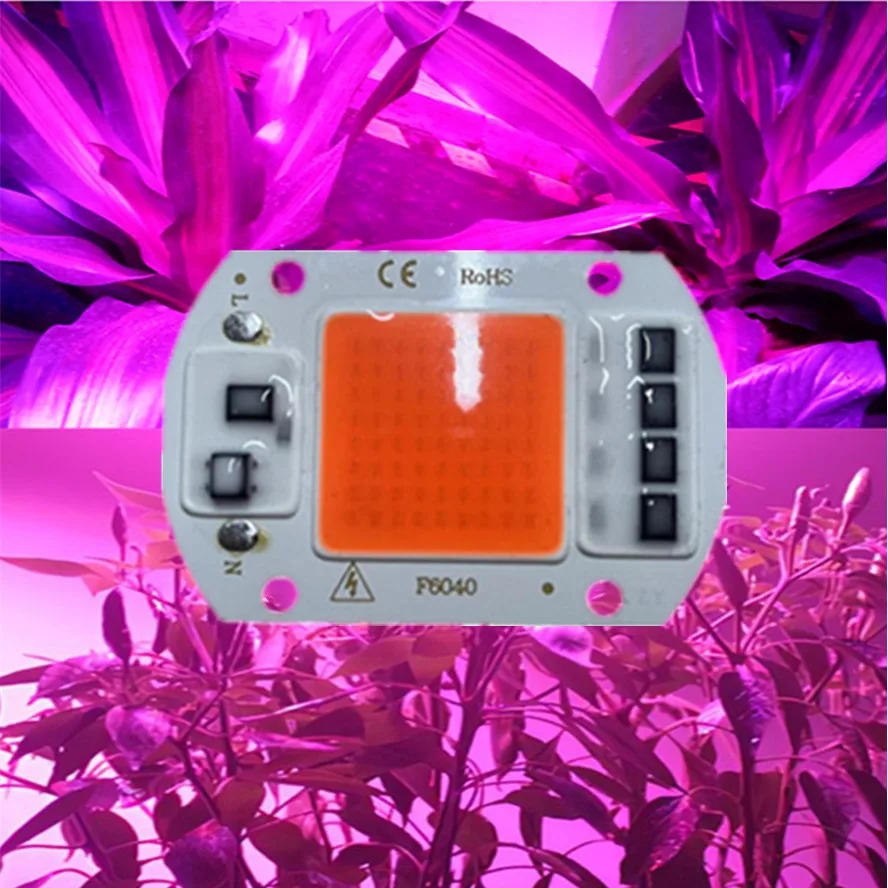 Description Picture 6 of itemSelling LED Grow COB Light Chip Full Spectrum AC 110V 220V 10W 20W 30W 50W-100W No need driver For Growth Flower Seedling Grow