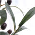 Slide image 9c9f1b0dbd3948da99d2e1ddb41c0e97