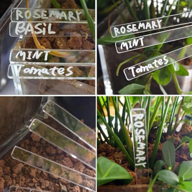 Description Picture 6 of item24Pcs Acrylic Plant Label Tag Clear Blanks Plant Markers Nursery Markers Flower Pots Seeding-Sign Mark For Potted Flowers