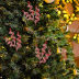 Slide image fbd1c48f324f4c83b15243c487d6bbb5