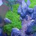 Slide image e1d096e3847c47bd922dbf766b03bc32