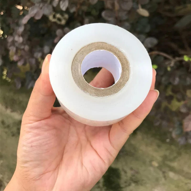 Description Picture 5 of itemPE Grafting Tape Film Self-adhesive Garden Tree Plants Seedlings Vine Tomato Grafting Accessories Stretchable 3/4/5cm Width