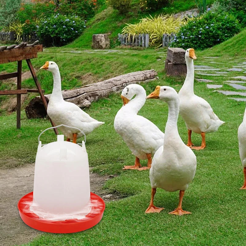 Description Picture 5 of item1.5/2.5/4L Chicken Coop Water Dispenser Drinker Rooster Hen Drinking Cups Fountain Farm Animal Poultry Feeding Watering Supplies