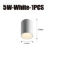 5W-White-1PC