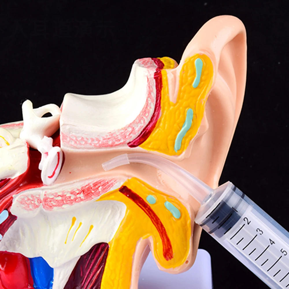 Description Picture 3 of item12ML Ear Cleaner Washer Syringer Elbow Rubber Tube Earwax Cleaning Removal Tool Ear Cleaner Wax Removal Ear Cleaner Health Care