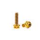 Titanium Gold