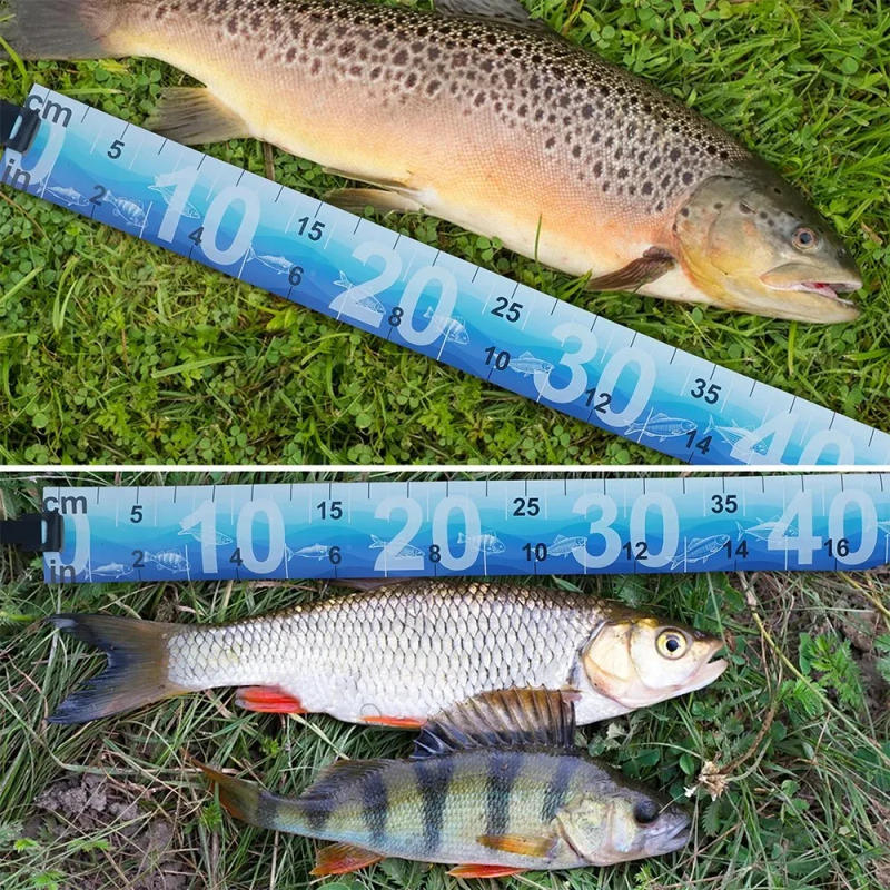 Description Picture 6 of item1Pcs Waterproof Fish Measuring Ruler 90cm/35in Foldable Fishing Measuring Tape Sticker Fishing Accessories Tackle Tool