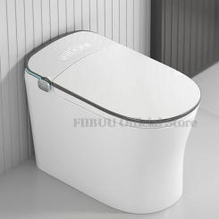 One Piece Smart Bidet Toilet Concealed Cistern Intelligent Toilet Warm Water Night Light Digital Display Heated Seat Air Dryer