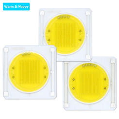 LED COB Chip AC220V 20W 30W 40W LED Ceramic Substrate Diode Bulb Spotlight Down Light Track Light Lighting DIY