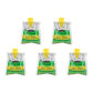 5PCS