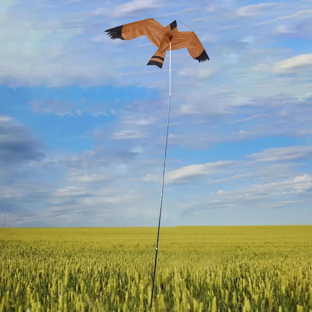 Description Picture 6 of itemBird Repellent Eagle Kite Easy To Assemble Emulation Bird Kite for Garden Yard Farm Protect Plants Eagle Paddy Field Kites