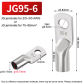 JG95-6