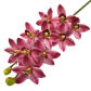Deep Pink