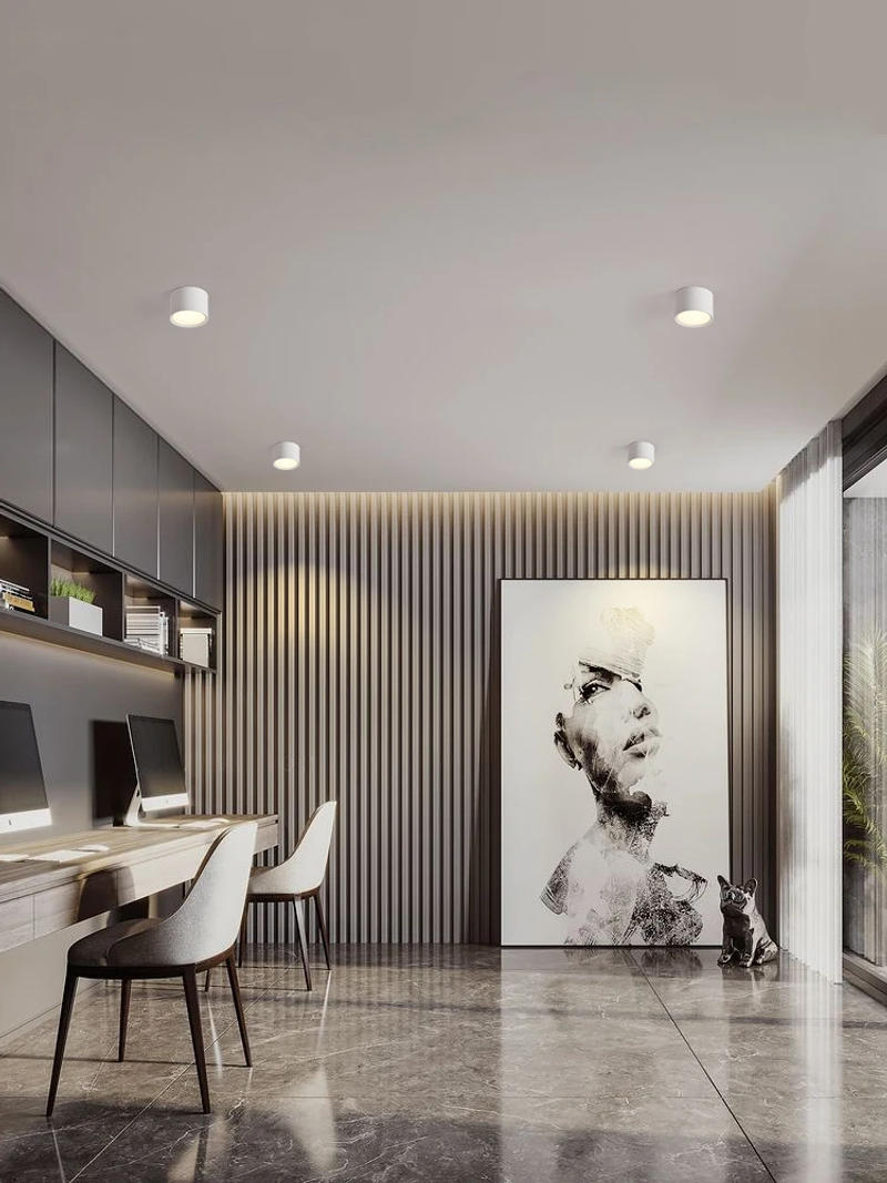 Description Picture 2 of itemDimmable round surface mounted downlight led small ceiling light ceiling light spotlight hallway entrance light aisle light