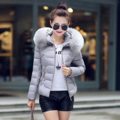 2025 Artificial raccoon fur collar winter jacket women Winter And Autumn Wear High Quality Parkas Outwear Women Coats