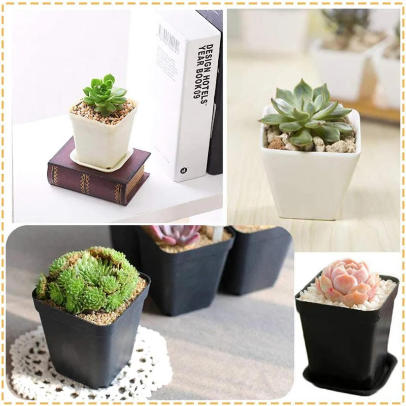 Description Picture 5 of item20pcs Color Mixing Mini Square Plastic Flower Pot With Holes Plant Tray Garden Tools Planting Tools Home Decor 5.5cmx5.5cmx4.5cm