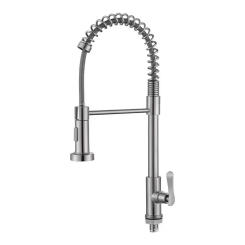 Practical and sturdyStainless steel spring=vertical pull-out faucet # gfdfg435168