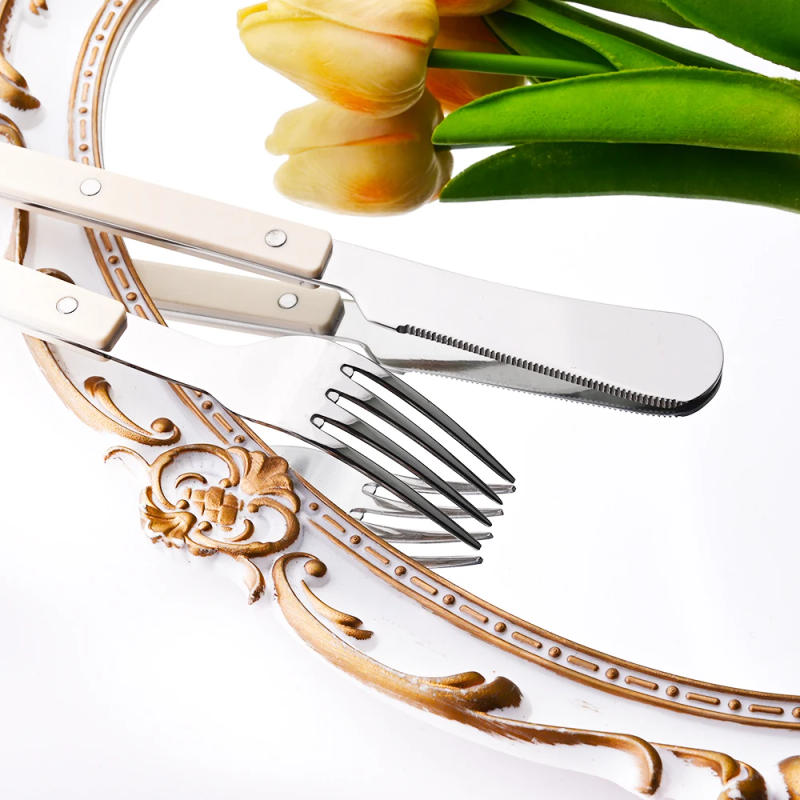 Description Picture 5 of itemBeige Silver 4/16Pcs Dinnerware Acrylic Handle Knife Fork Spoon Set Stainless Steels Cutlery Set Western Dinner Kitchen Flatware