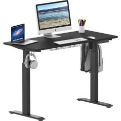 Memory Preset Electric Height Adjustable Standing Desk, 48 x 24 Inches, Black