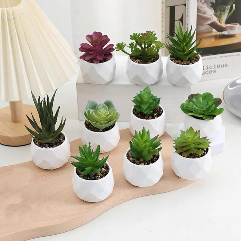 Description Picture 5 of itemMini Artificial Succulent Bonsai Plants Simulation Evergreen Artificial Succulent Small Potted Plants Home Ornaments Decoration
