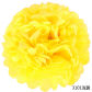ZHQ light yellow