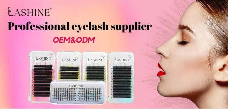 Description Picture 2 of itemLashine W Shaped Lashes 2D 3D 4D 5D Premade Volume Fans Faux Mink Eyelashes Brazilian Volume C/D Curl Natural Soft YY Lashes