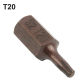 T20