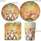 50pcs set