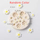 59-Flower C