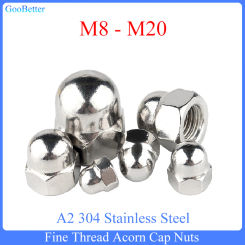 Fine Thread Acorn Cap Nut M8 M10 M12 M14 M16 M20 A2 304 Stainless Steel Hexagon Dome Acorn Cap Blind Hole Nuts