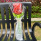 red roses