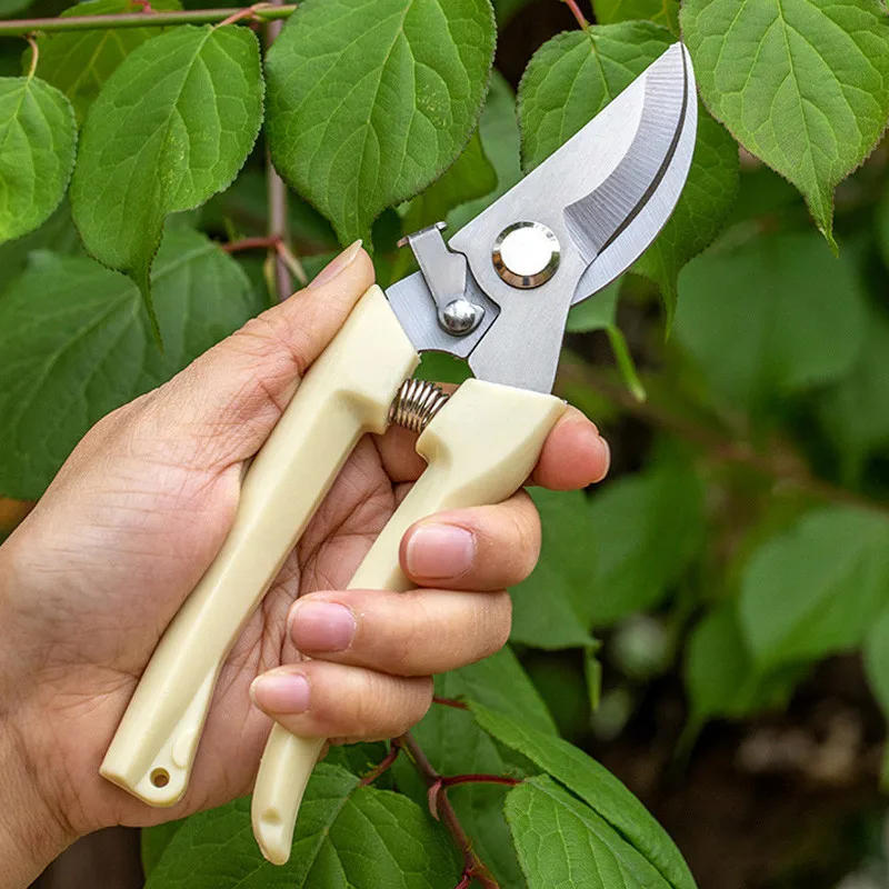 Description Picture 4 of itemStainless Steel Garden Pruning Shears Garden Scissors Hand Tools Fruit Cutting Gardening Tools Outdoor Gardening Landscape Tools