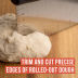 Slide image 55ffddfe6f134c79b6dbd546474b7bef