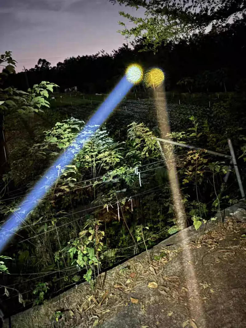 Description Picture 6 of item800W High Power LED Flashlight Rechargeable Yellow White Light Lantern Powerful Tactical Flashlight Super Bright LongRange Torch