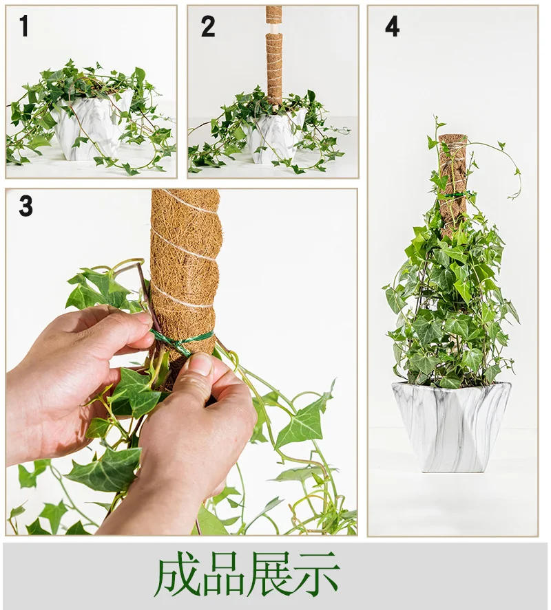 Description Picture 5 of item50cm Plant Climbing Coir Totem Pole Safe Gardening Coconut  Stick For Climbing Plants Vines And Creepers Plant Support