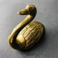 Swan