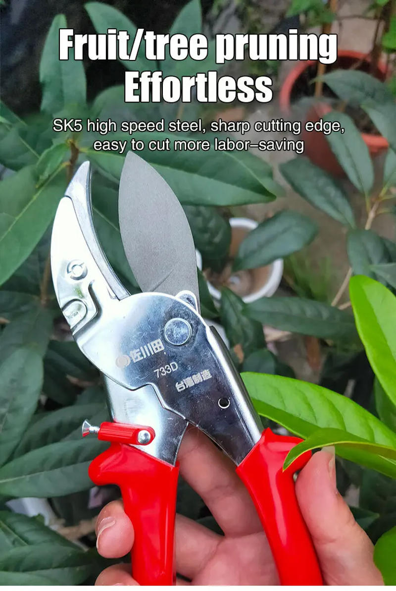 Description Picture 6 of itemPowerful Grape branch labor-saving thick branch shears Special fruit tree shears Garden Pruning Shears Bonsai greening scissors