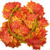 Slide image cb5a8b4ac5d34440b35883218b8a2ee6