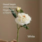 White A