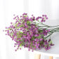 little purple