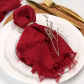 10PCS  Wind red