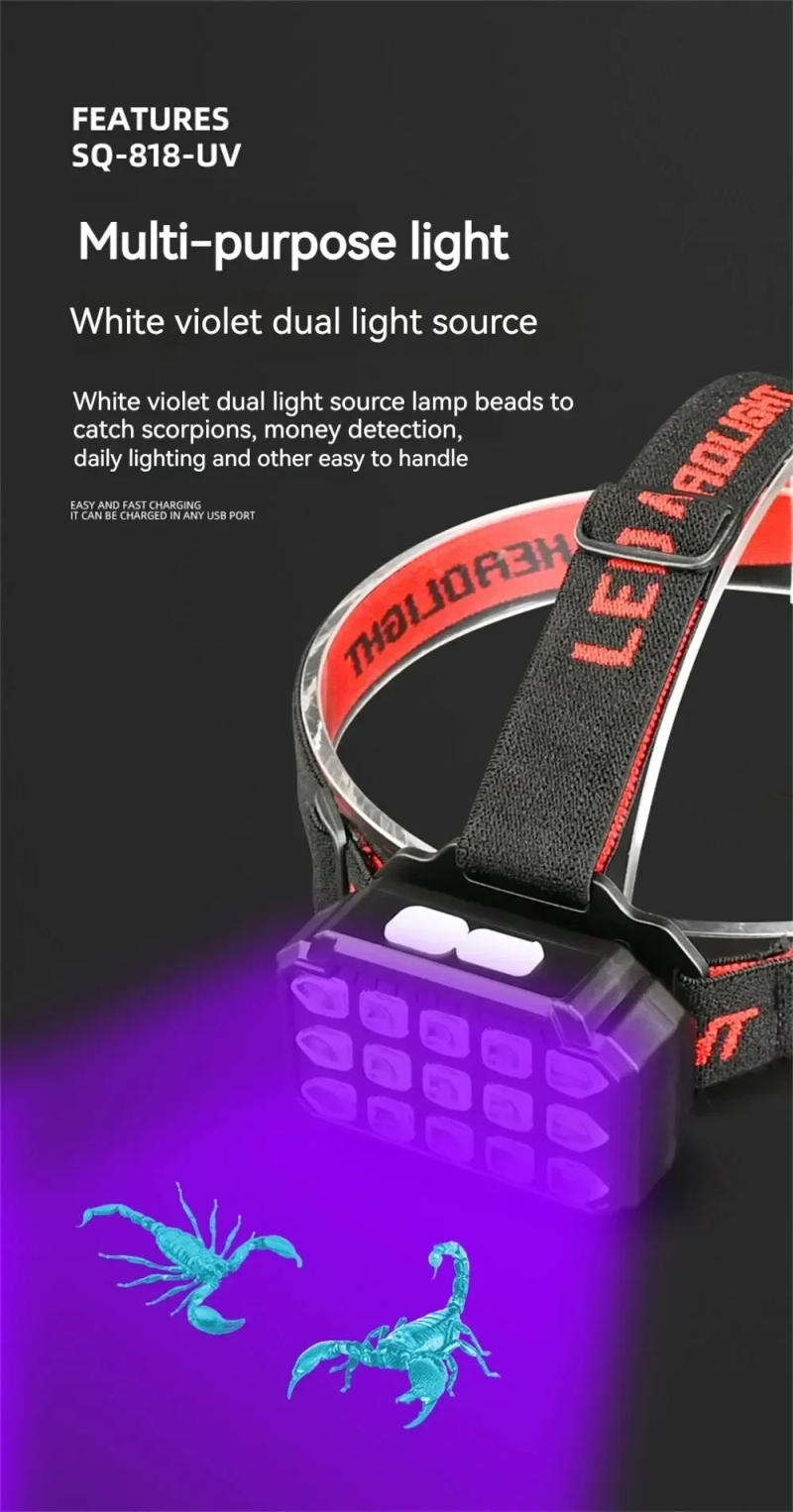 Description Picture 5 of itemUV+White Light Dual-use LED Headlamp Fishing Headlight Uses 10*UV LED +5*P40 LED Used for Camping, Catching Scorpions,etc