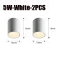 5W-White-2PCS
