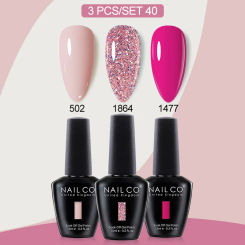 NAILCO 3PCS Gel Nail Polish Fall Winter Color Nail Art Set Soak Off UV DIY Hybrid Manicure Nail Gel Semi Permanent Base Top Coat