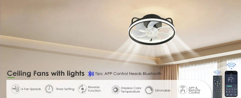Description Picture 2 of itemModern Ceiling Fans with Lights and Remote, Dimmable Low Profile Ceiling Fan, Flush Mount Bladeless Ceiling Fan