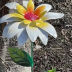 Slide image 5392911ddd654200a47ceecd209ff995
