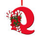 Q