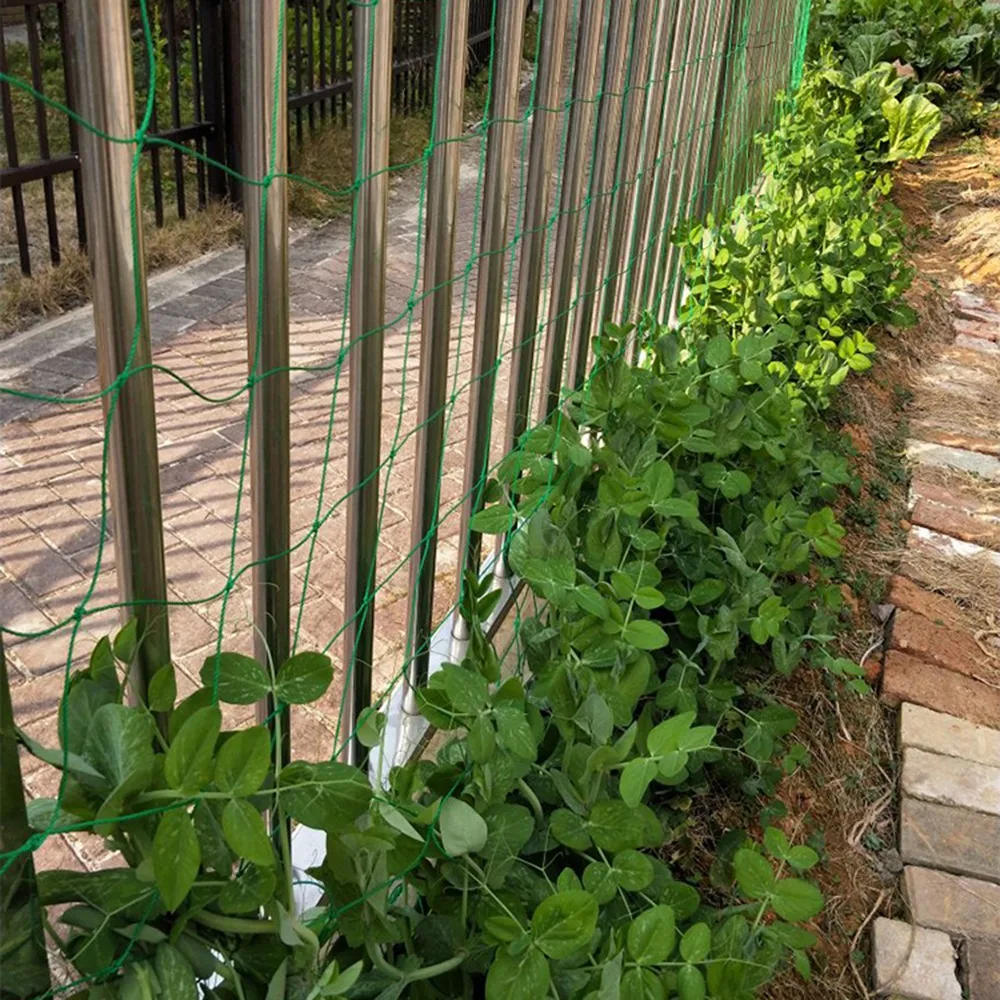 Description Picture 4 of item2022 Hi-quality Nylon Garden Netting Loofah Morning Glory Flowers Vine Plants Climbing Net Cucumber Vine Grow Holder Brackets