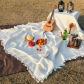 S5  picnic blanket